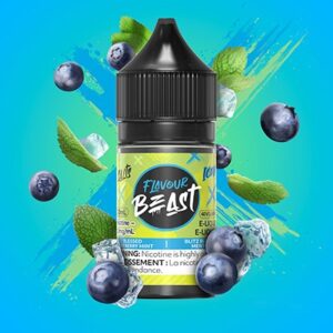 Blessed Blueberry Mint Iced Flavour Beast Salts