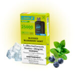 Blessed Blueberry Mint Iced Pods Level X G2 by Flavour Beast Boost