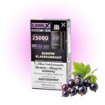 Bumpin Blackcurrant Pods Level X G2 by Flavour Beast Boost